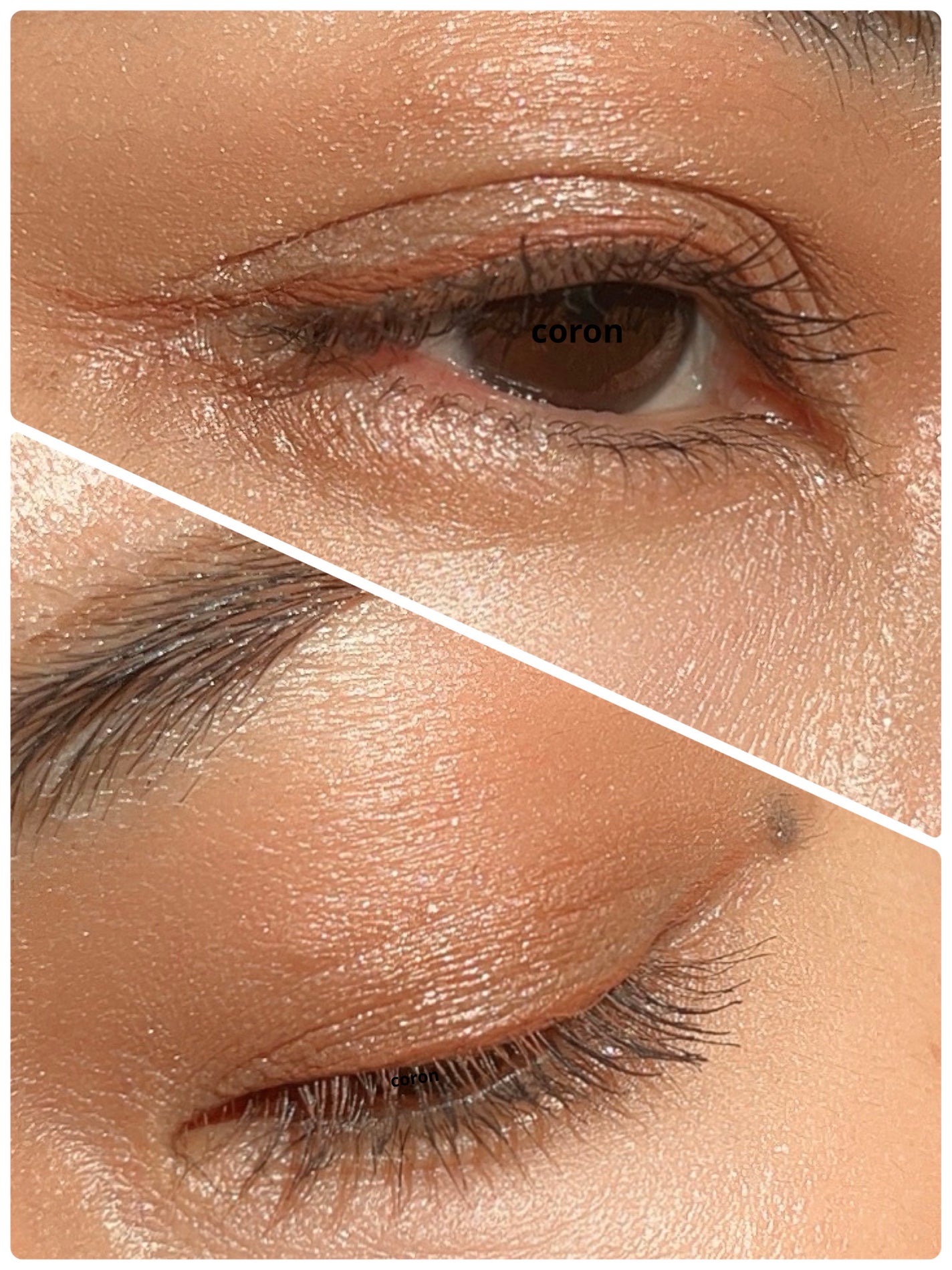 ãªã¥ã¯ã¹ã¢ã€ã·ã£ããŠ/BOBBI BROWN/åè²ã¢ã€ã·ã£ããŠã䜿ã£ãã¯ãã³ãïŒ2æç®ïŒ