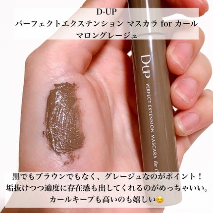 スキニーリッチシャドウ/excel/アイシャドウパレットを使ったクチコミ(5枚目)