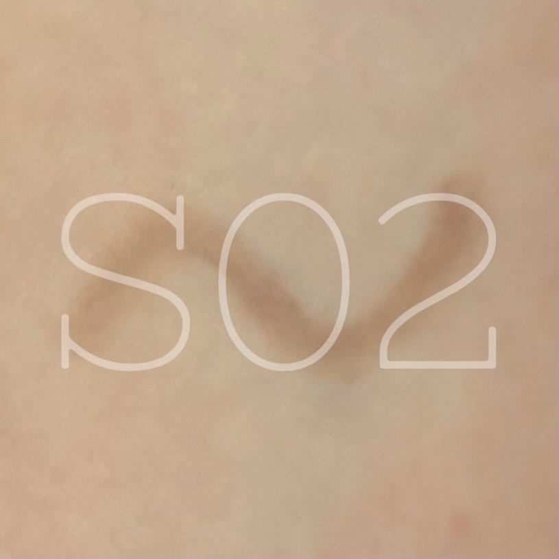 リップトリックライナー S02 惑わせブラウン/キャンメイク/リップライナーを使ったクチコミ（1枚目）