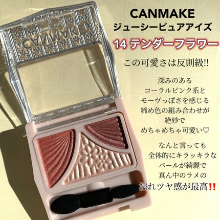 ジューシーピュアアイズ/キャンメイク/アイシャドウパレットを使ったクチコミ(2枚目)