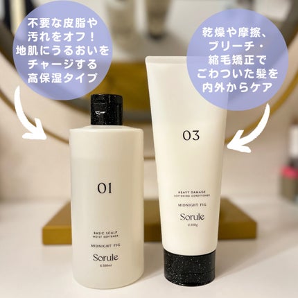 モイストソフナー 01ベーシックスカルプ/Sorule/市販シャンプーを使ったクチコミ(2枚目)