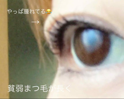 ラッシュエキスパンダー リキッドエクステ EX/MAJOLICA MAJORCA/マスカラを使ったクチコミ(4枚目)