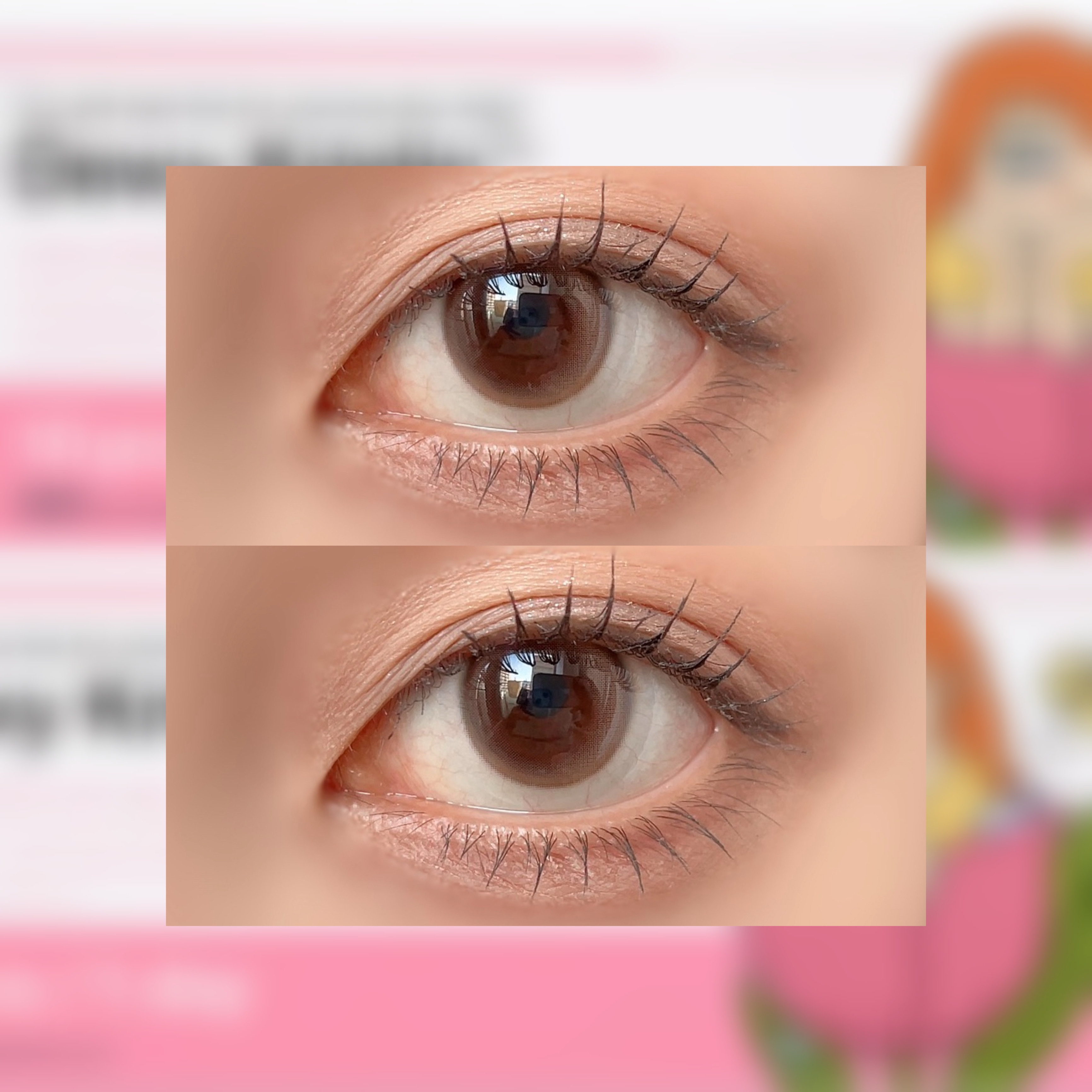 Dewy Kristin/Hapa kristin/カラーコンタクトレンズを使ったクチコミ（2枚目）