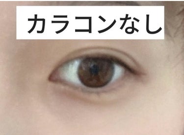 バンビシリーズ ワンデー ナチュラル Natural Brown/AngelColor/ワンデー（１DAY）カラコンを使ったクチコミ（3枚目）