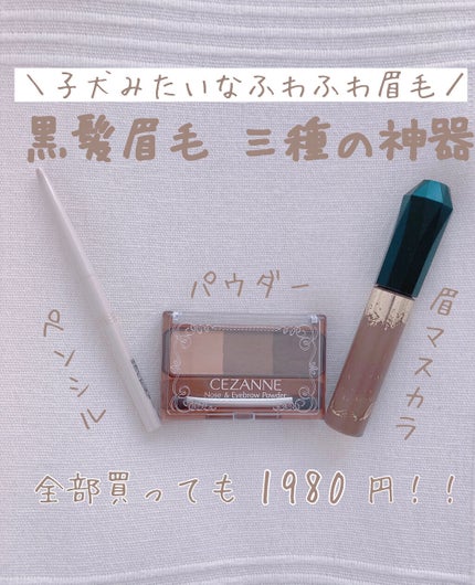 カラーリングアイブロウ/ヘビーローテーション/眉マスカラを使ったクチコミ(1枚目)