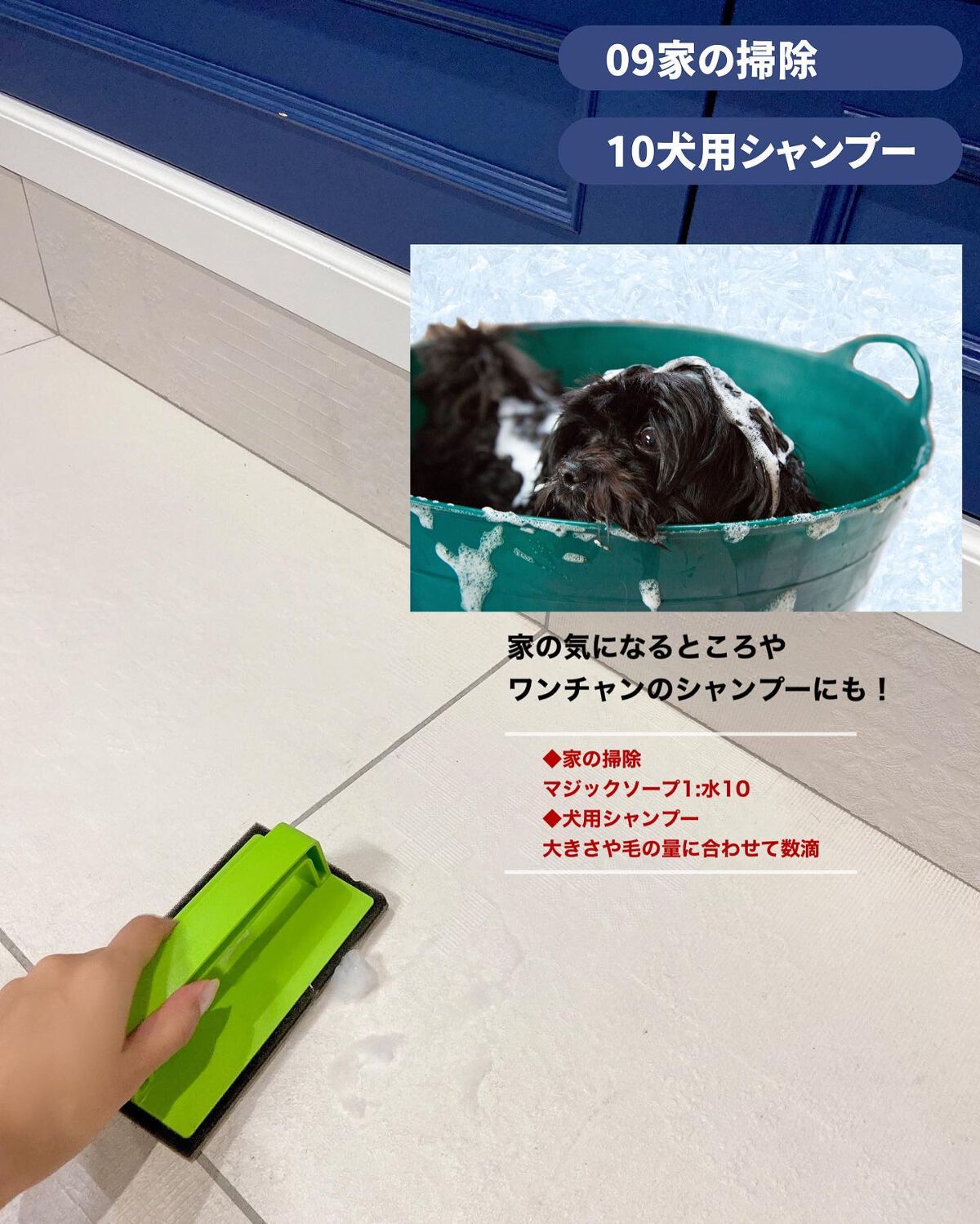 マジックソープ サンダルウッド&ジャスミン/ドクターブロナー/ボディソープを使ったクチコミ(6枚目)