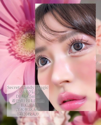 secretcandymagic 1day(シークレットキャンディーマジック) プルモグレー/secret candymagic/ワンデー(1DAY)カラコンの画像