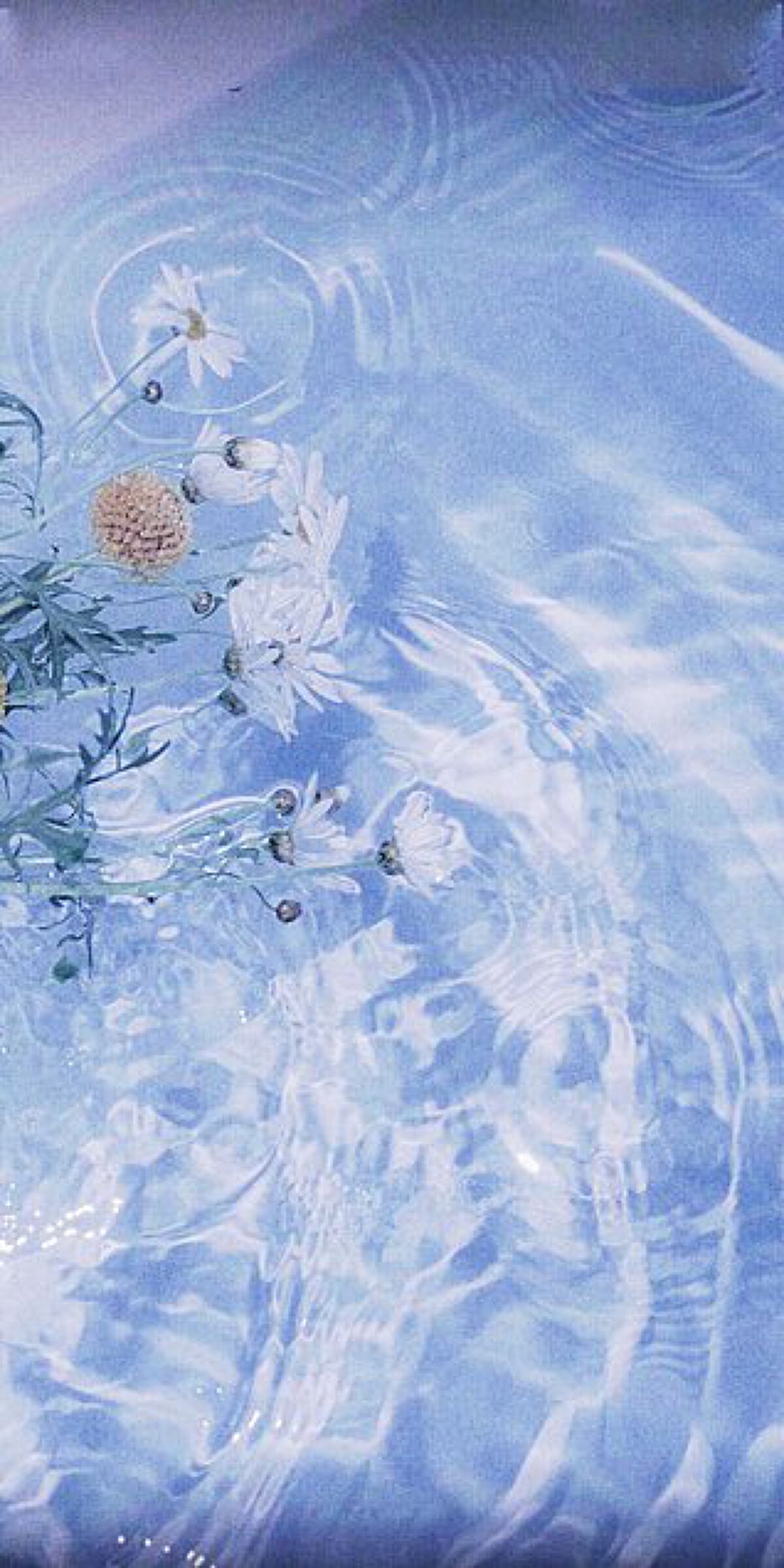 寝ながらメディキュット ロング/メディキュット/着圧ソックス・レギンスを使ったクチコミ（1枚目）