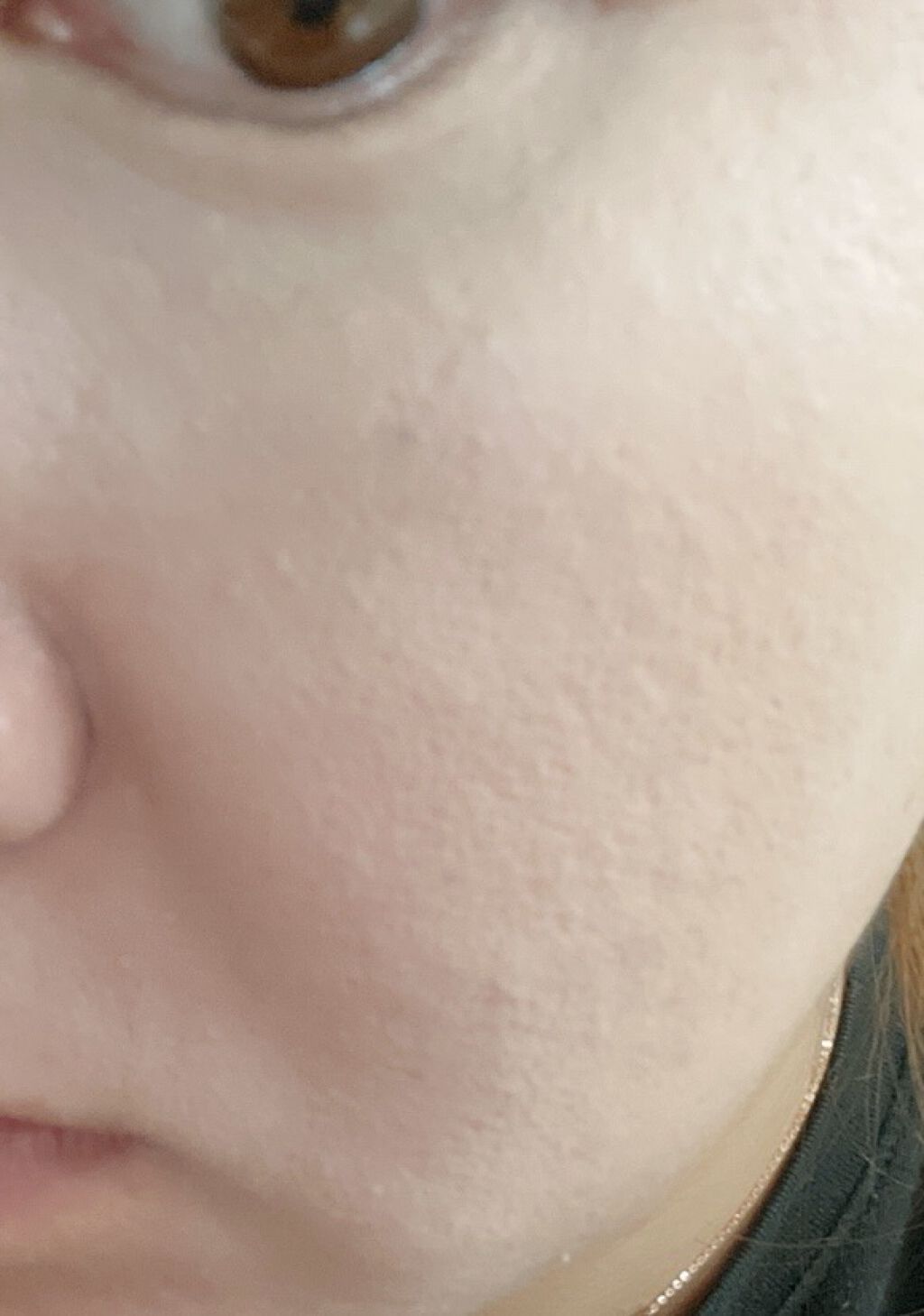 プロテーラービーベルベットカバークッション/espoir/クッションファンデーションを使ったクチコミ（3枚目）