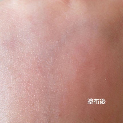 タイトニングミスト/ELECTRON/ミスト状化粧水を使ったクチコミ(3枚目)