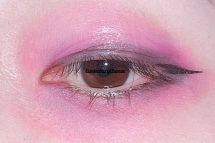 ヴィセ アヴァン シングルアイカラー/Visée/単色アイシャドウを使ったクチコミ(3枚目)