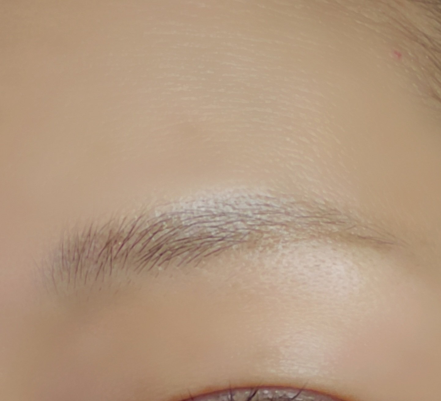 ウルトラキープアイブロウペン/メイクプロポーション/眉ティントを使ったクチコミ（2枚目）