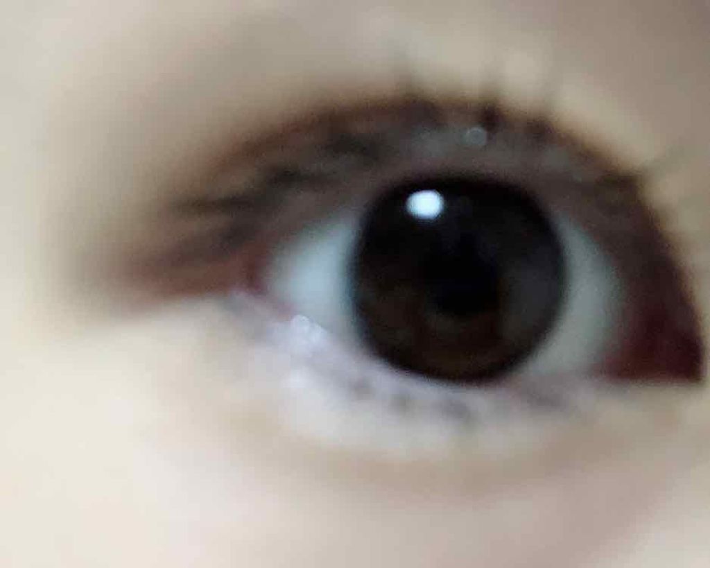 ラッシュケアエッセンス/キャンメイク/まつげ美容液を使ったクチコミ（1枚目）