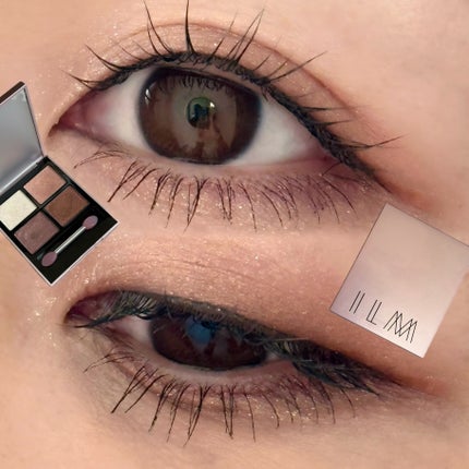 オールインワンマスカラ/ILM/マスカラを使ったクチコミ(1枚目)