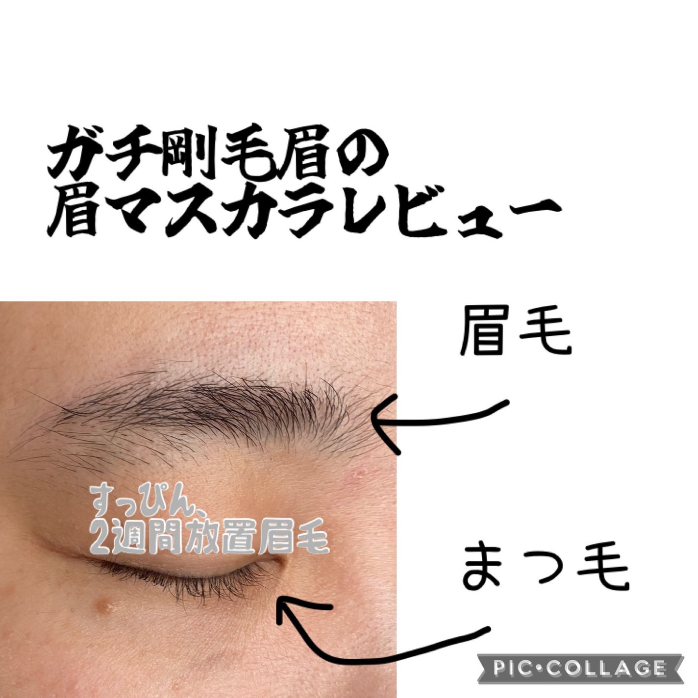 ハンオールブロウカラ/rom&nd/眉マスカラを使ったクチコミ(1枚目)