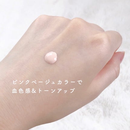 毛穴パテ職人 毛穴崩れブロック下地/毛穴パテ職人/化粧下地を使ったクチコミ(3枚目)