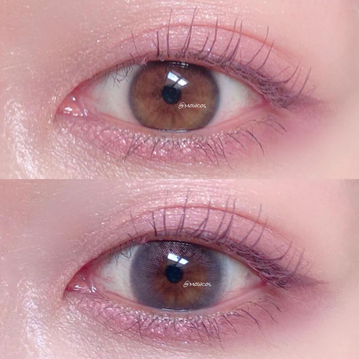 フェアリー ワンデー シマーリングシリーズ/FAIRY/ワンデー(1DAY)カラコンを使ったクチコミ(5枚目)