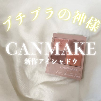 シルキースフレアイズ(マットタイプ)/キャンメイク/アイシャドウパレットを使ったクチコミ(1枚目)