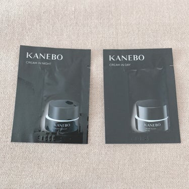 クリーム　イン　デイ/KANEBO/フェイスクリームを使ったクチコミ（3枚目）