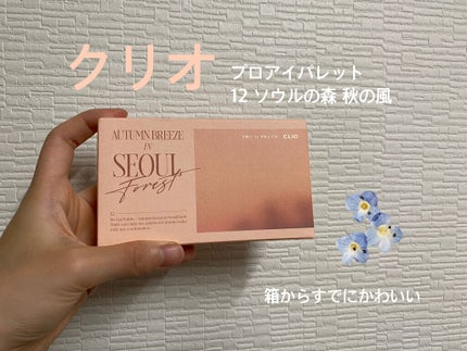 プロ アイ パレット/CLIO/アイシャドウパレットを使ったクチコミ(1枚目)