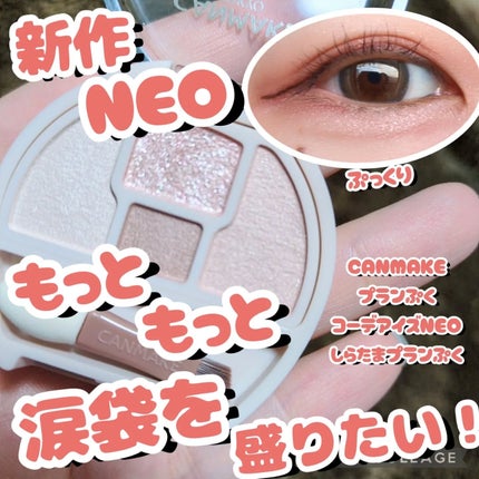 プランぷくコーデアイズNeo/キャンメイク/アイシャドウを使ったクチコミ(1枚目)