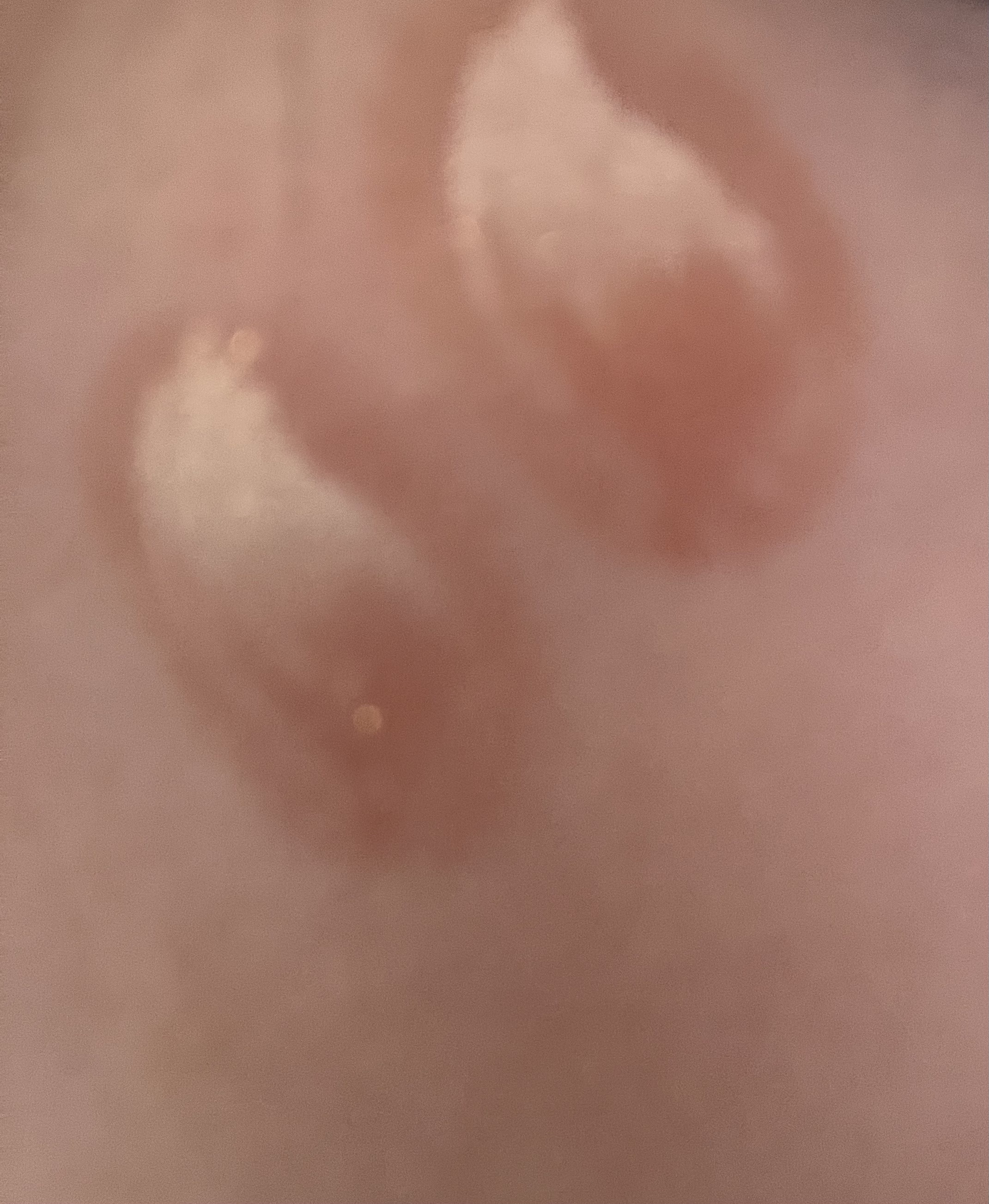 エクスプローラ12色 動物アイシャドウパレット/PERFECT DIARY/アイシャドウパレットを使ったクチコミ（1枚目）