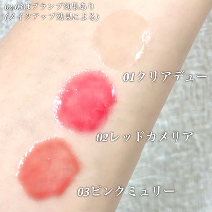 ナチュラルブルームリップオイルセラム 3色セット/PINATE/リップグロスを使ったクチコミ(2枚目)