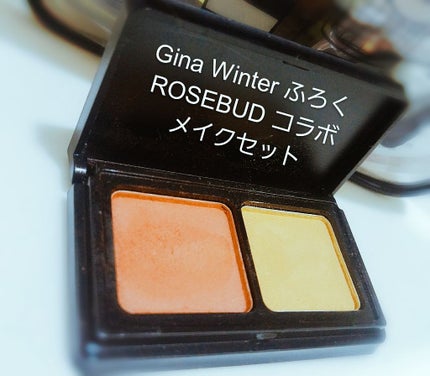 Gina 2018-19 Winter (JELLY 2019年1月号増刊)/Gina/雑誌を使ったクチコミ(1枚目)