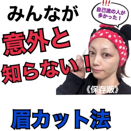 アイブロウシザーズ/SHISEIDO/その他化粧小物を使ったクチコミ(1枚目)