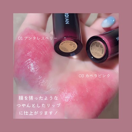 グロウラッピングティント/LIPGUARDIAN/リップティントを使ったクチコミ(2枚目)