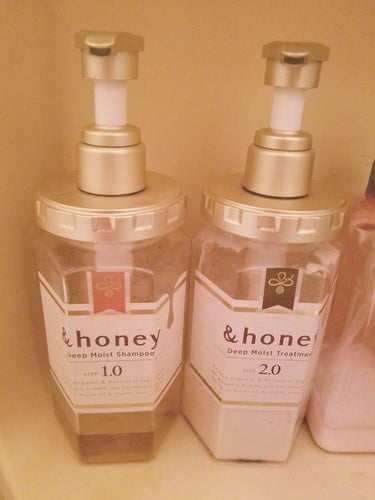 ディープモイスト シャンプー1.0／ヘアトリートメント2.0/&honey/シャンプー・コンディショナーを使ったクチコミ（1枚目）