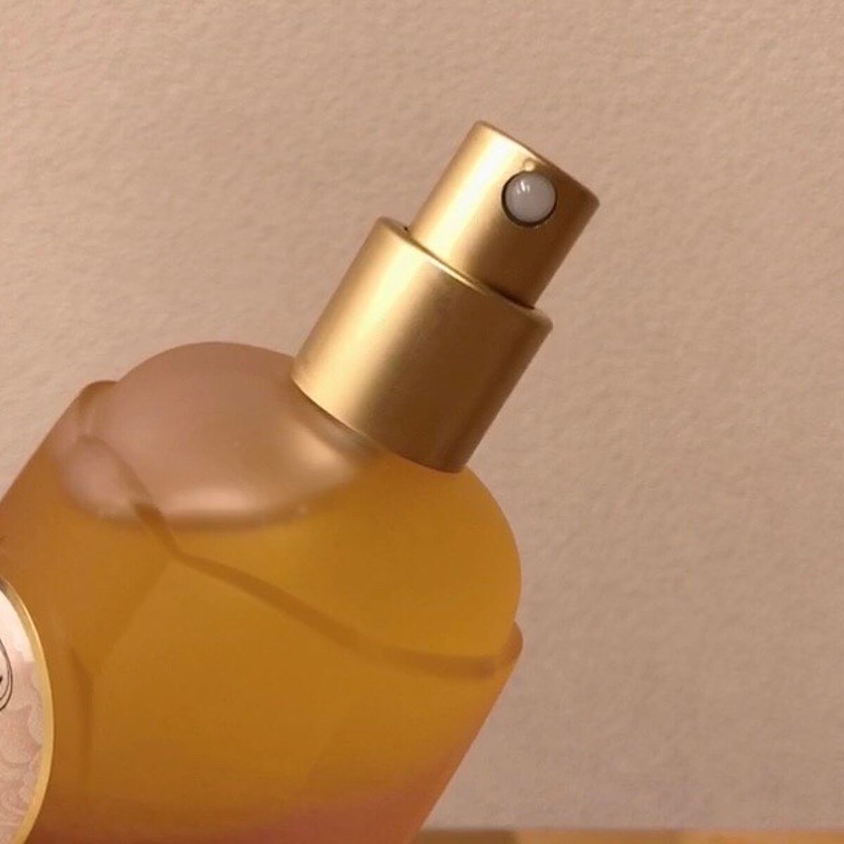ローズウォーターインオイル/SABON/ミスト状化粧水を使ったクチコミ(6枚目)
