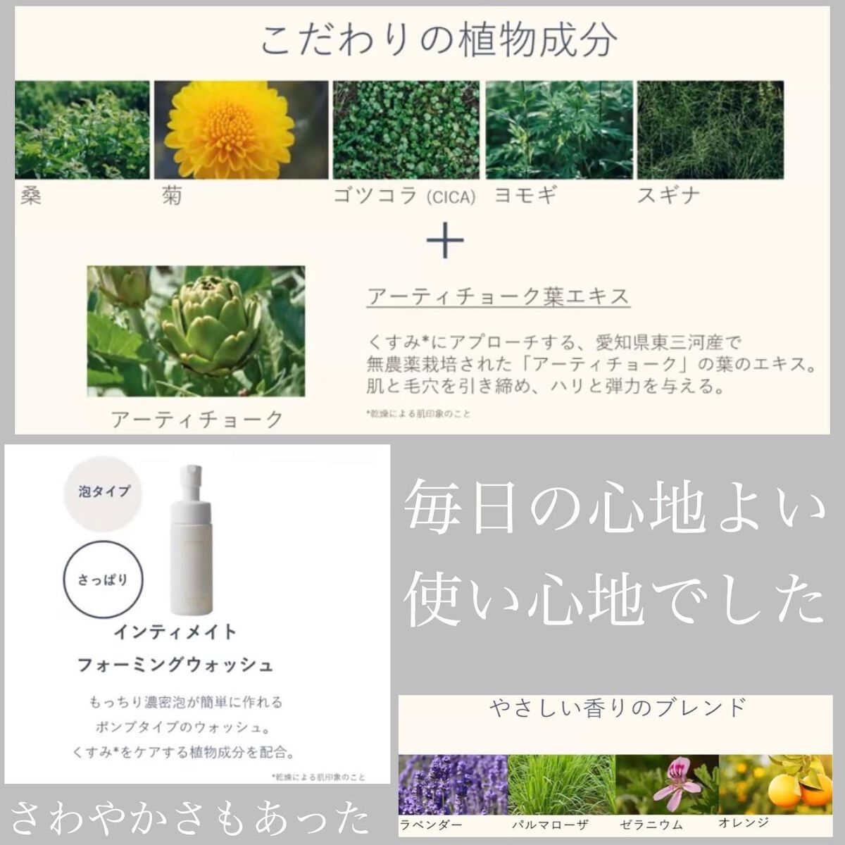 インティメイト ミスト/Waphyto/ボディローションを使ったクチコミ(4枚目)