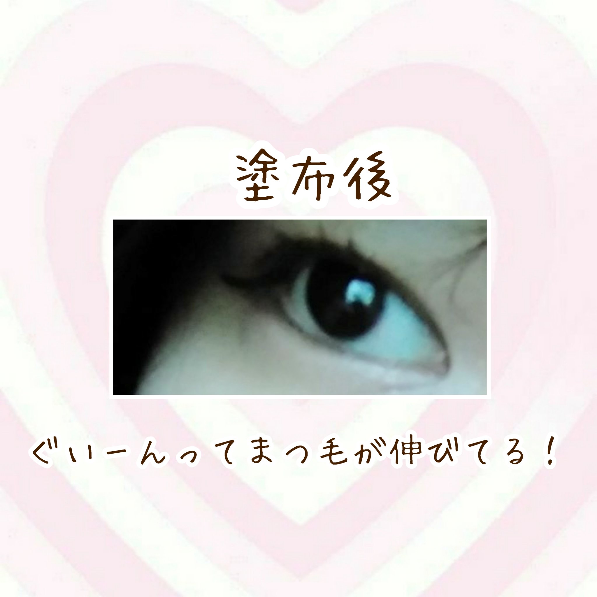 密着センシティブマスカラ 02 ブラックブラウン/GIVERNY/マスカラを使ったクチコミ（3枚目）