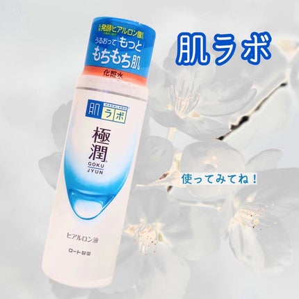 極潤ヒアルロン液(ハダラボモイスト化粧水d)/肌ラボ/化粧水を使ったクチコミ(9枚目)