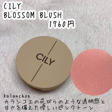 ブロッサムブラッシュ /CILY/パウダーチークを使ったクチコミ（2枚目）