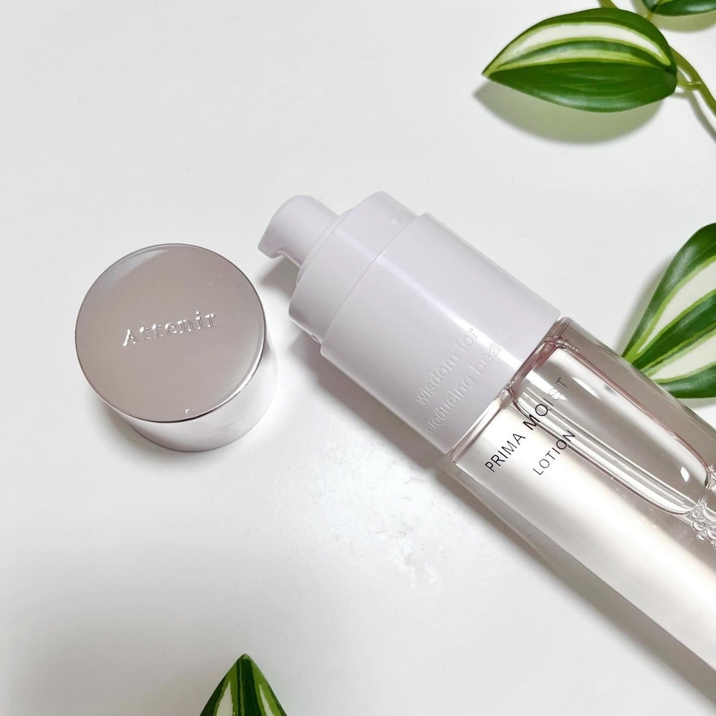 プリマモイスト ローション/アテニア/化粧水を使ったクチコミ(4枚目)