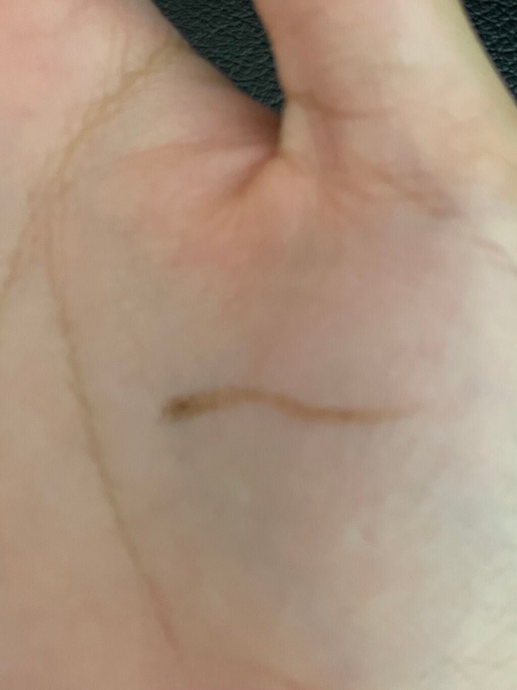 仕込みアイライナー /Fujiko/リキッドアイライナーを使ったクチコミ(4枚目)