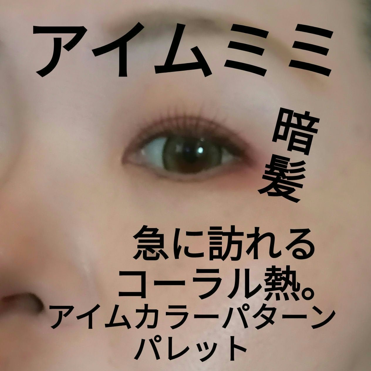 カラーパターンパレット/i’m meme/マルチパレットを使ったクチコミ(1枚目)