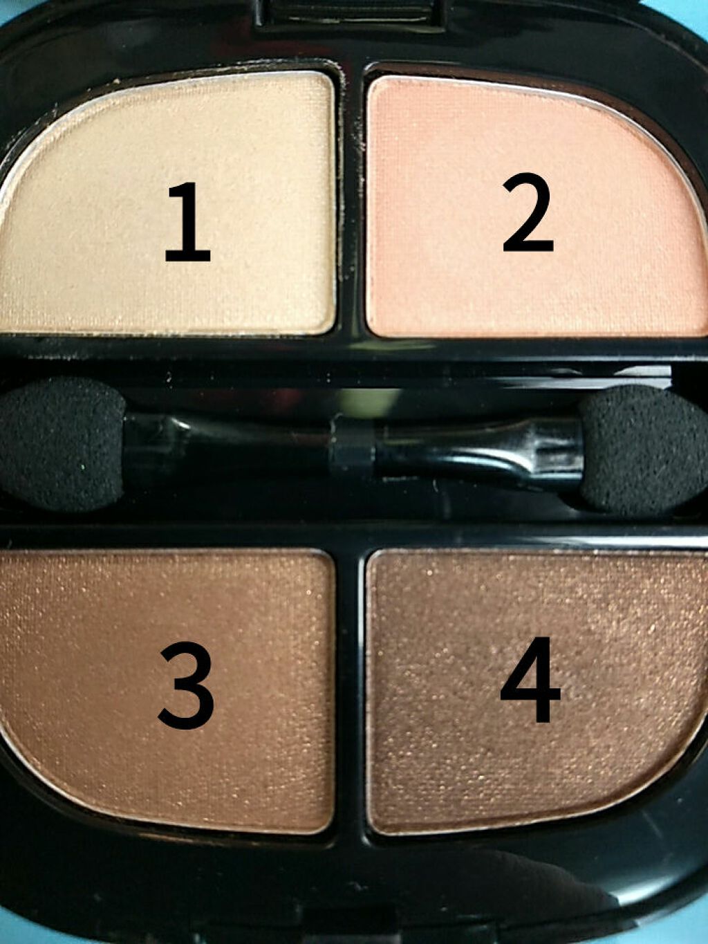 アイシャドウ/BRIGITTE/アイシャドウパレットを使ったクチコミ（2枚目）