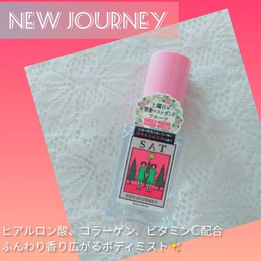 ボディミスト/NEWJOURNEY/香水(その他)を使ったクチコミ（1枚目）