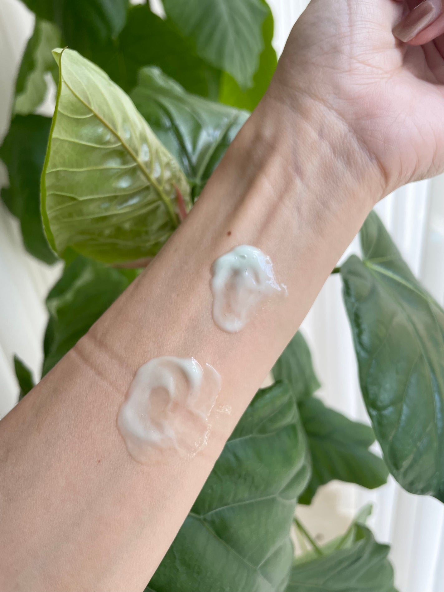 シカダーマヒットセラム5/KATAN/美容液を使ったクチコミ(5枚目)