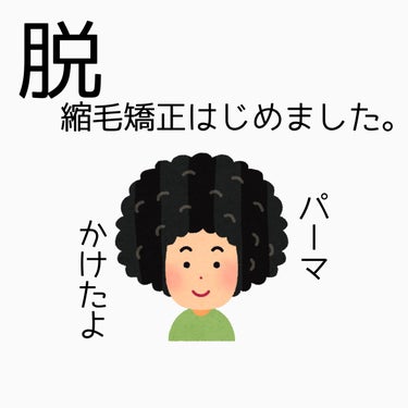 ほぼ1年ぶりの投稿になりましたが、昨年末に一念発起して脱縮毛矯正パーマをかけたので、経緯と覚え書きを書いていこうと思います。


小学生の頃に初めて美容室でカットしてから、それまで直毛で扱いやすかったは