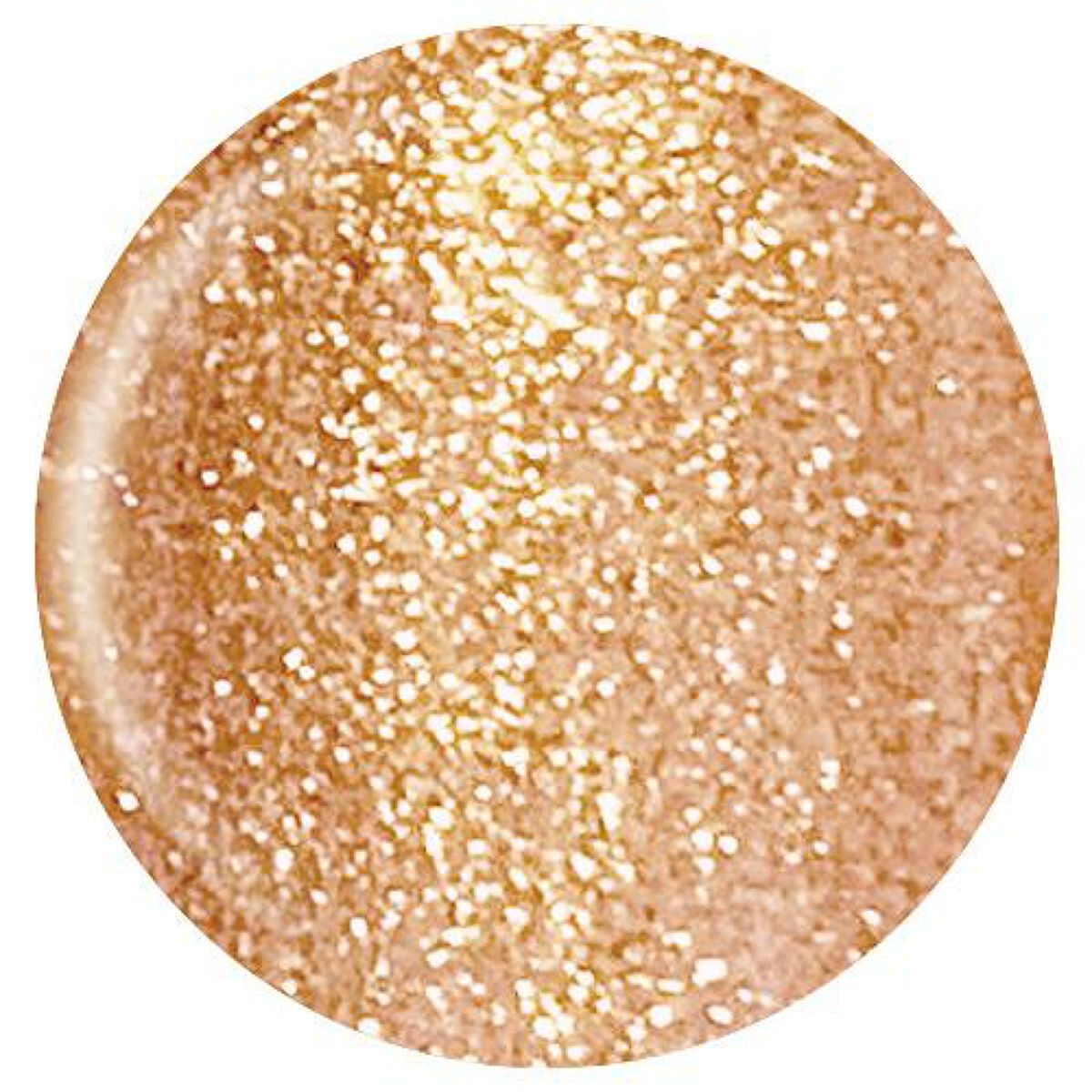 カラージェル 1010 ブロンズグリッター