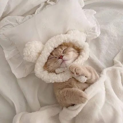 も も は 永遠活動休止(?) on LIPS 「こんにちは…桃萌羽です…♡°✧˖°今回も~恋バナと雑談をやりた..」(1枚目)