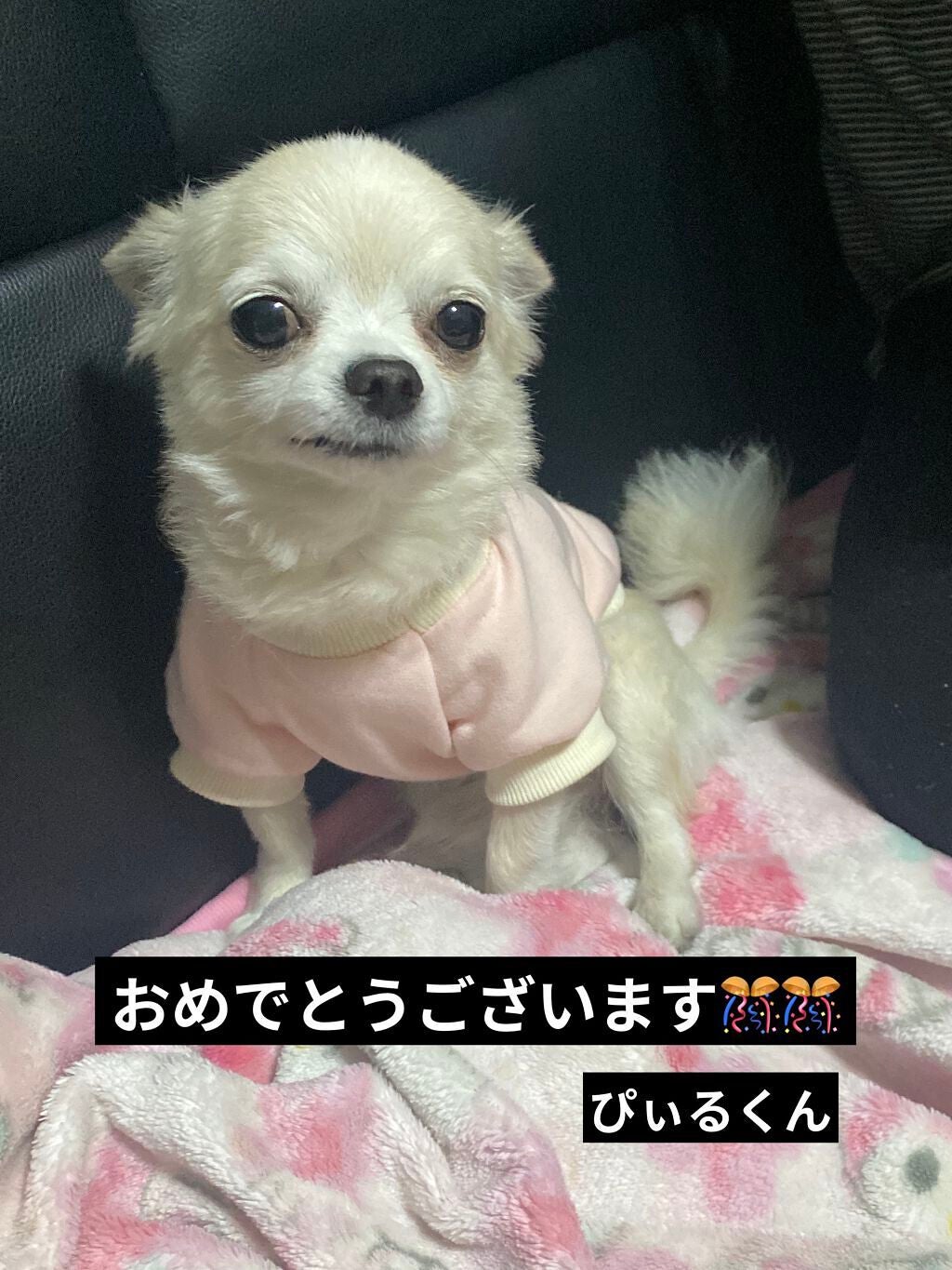 【旧】サンク クルール クチュール/Dior/アイシャドウパレットを使ったクチコミ(9枚目)