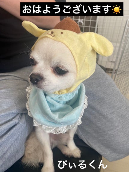 キャビアスティック アイカラー/ローラ メルシエ/スティックアイシャドウを使ったクチコミ(8枚目)