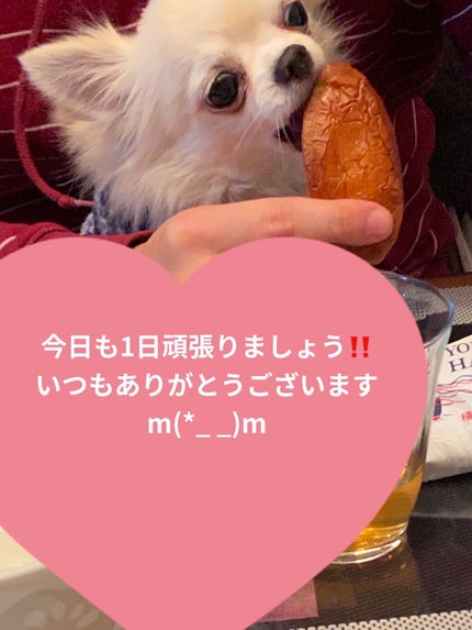 アベイユ ロイヤル ウォータリー オイル セロム/GUERLAIN/美容液を使ったクチコミ(6枚目)