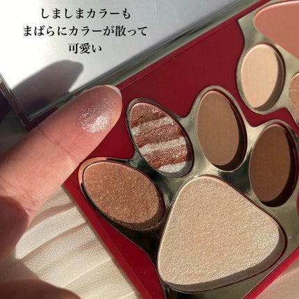 トラ十色アイシャドウパレット/COLORKEY/アイシャドウパレットを使ったクチコミ(5枚目)