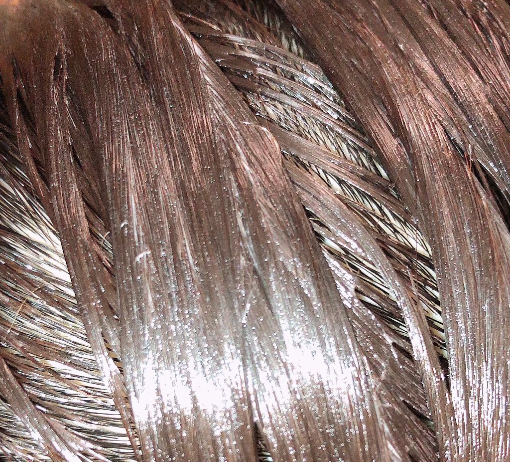 クレイクリームシャンプー(モイスト)/cocone/市販シャンプーを使ったクチコミ(3枚目)